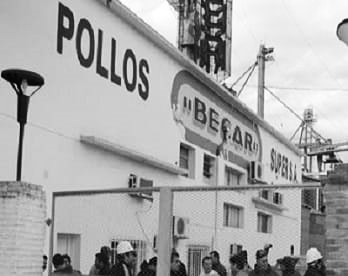 Incertidumbre para 279 trabajadores de un frigorífico