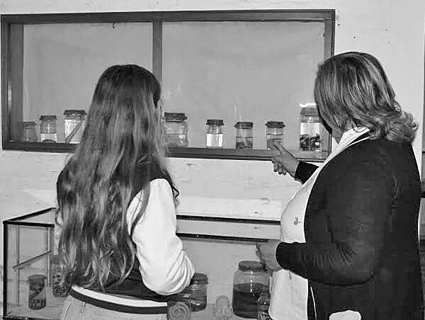 El museo que resguarda memoria y relatos compartidos