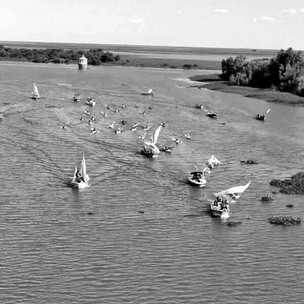 Denuncian endicamientos sin control para secar los humedales