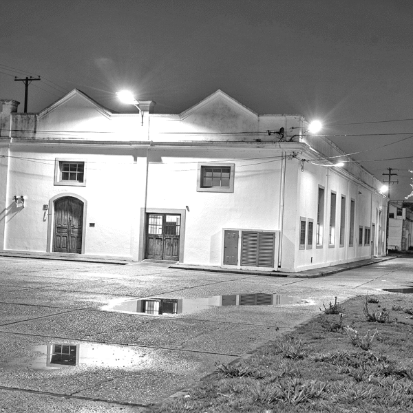 De fantasmas y otras criaturas que rondan el barrio por la noche