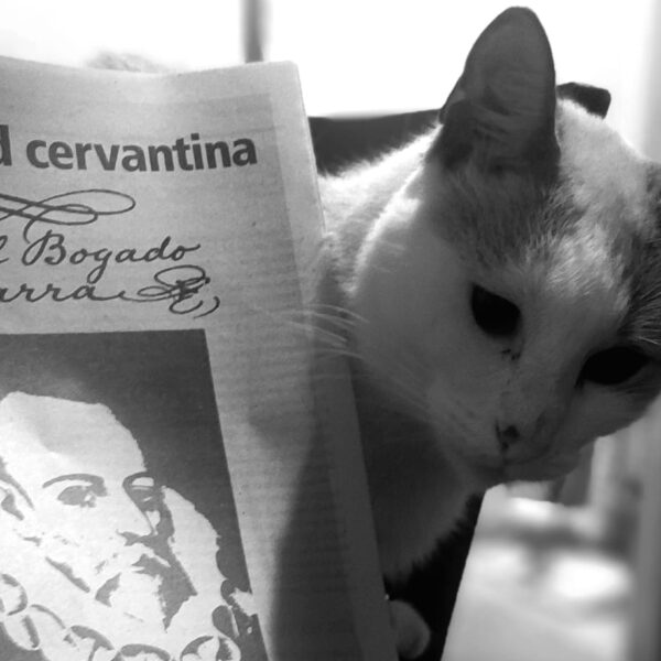 Una ciudad cervantina