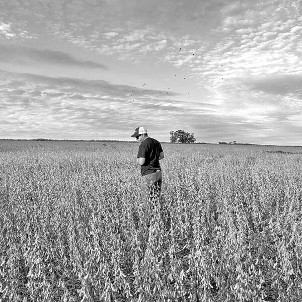 La realidad del productor rural: clima, retenciones e impuestos