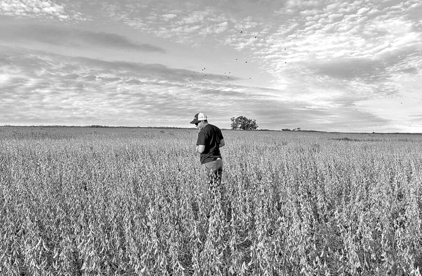 La realidad del productor rural: clima, retenciones e impuestos