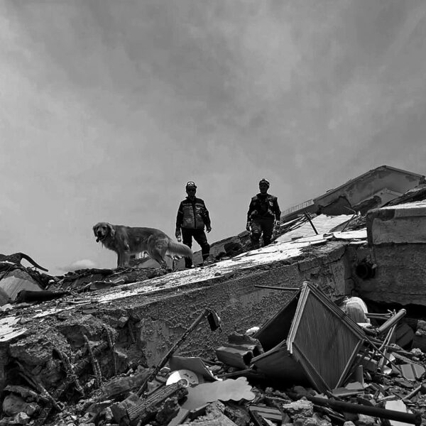Desde Gualeguay a Venezuela: la labor de dos bomberos voluntarios y sus canes