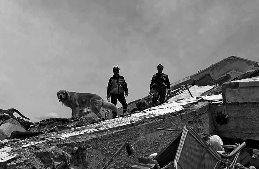 Desde Gualeguay a Venezuela: la labor de dos bomberos voluntarios y sus canes