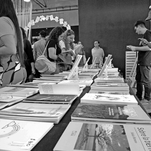 La libertad sin libros