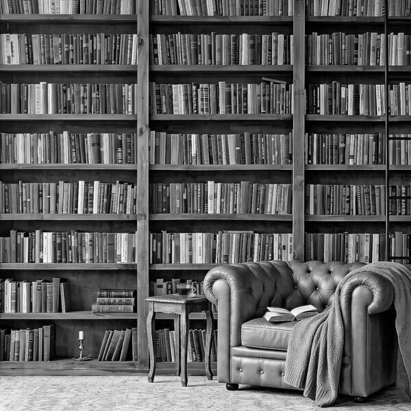 Apología del libro
